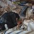 Powerful earthquakes strike Venezuela