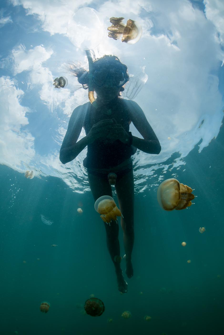 Otok Kakaban gdje žive meduze koje ne peku | Author: Getty images