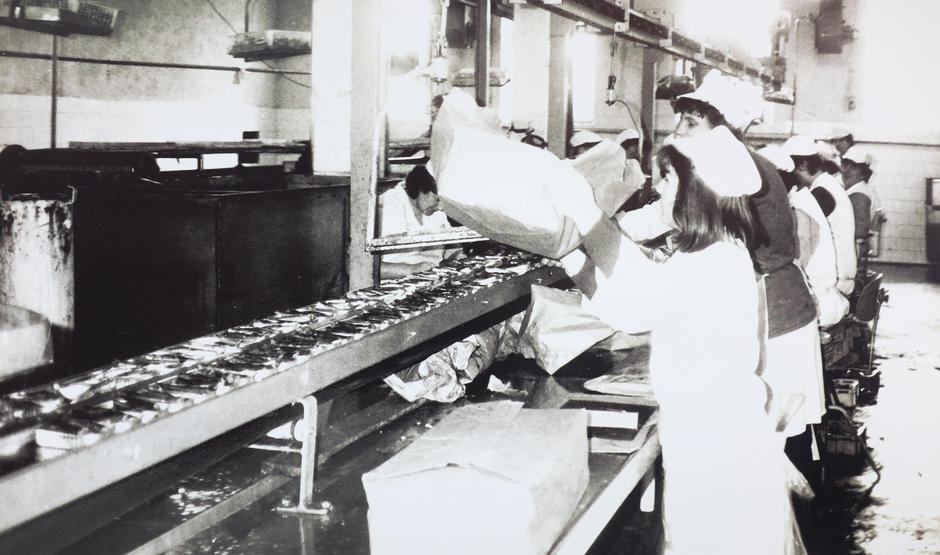 Rijeka: Izložba Plavica, Tvornica za preradu ribe Cres | Author: Nel Pavletic/PIXSELL