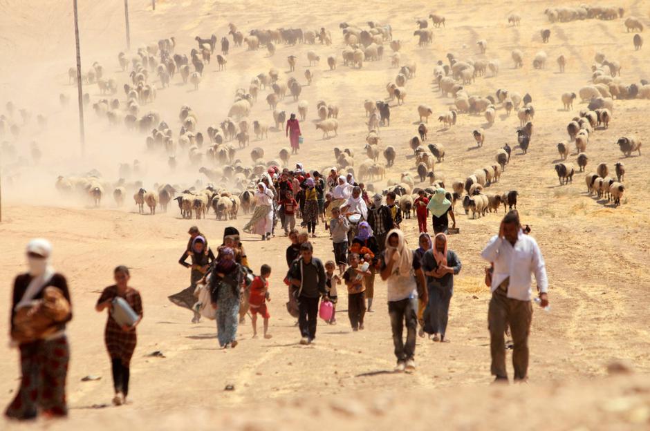 Jazidi u izbjeglištvu | Author: REUTERS
