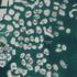 Umjetni otoci Svijet u Dubaiju