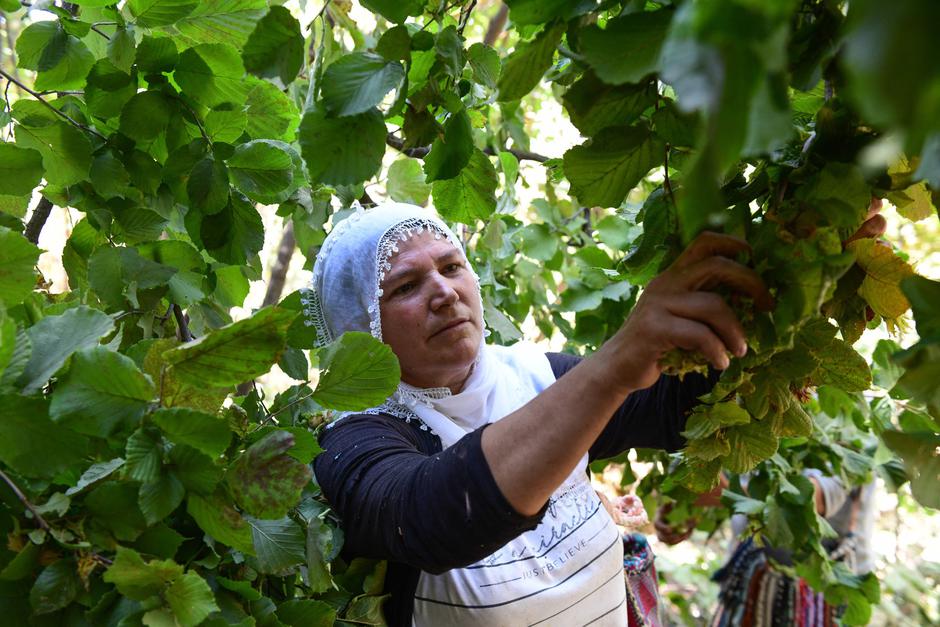  | Author: Profimedia