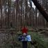 Volunteers search for the remains of Red Army soldiers in the Leningrad Region