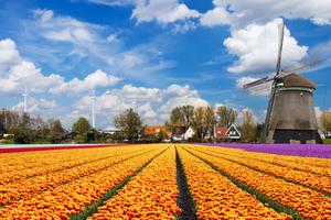 Vjetrenjače u Nizozemskoj