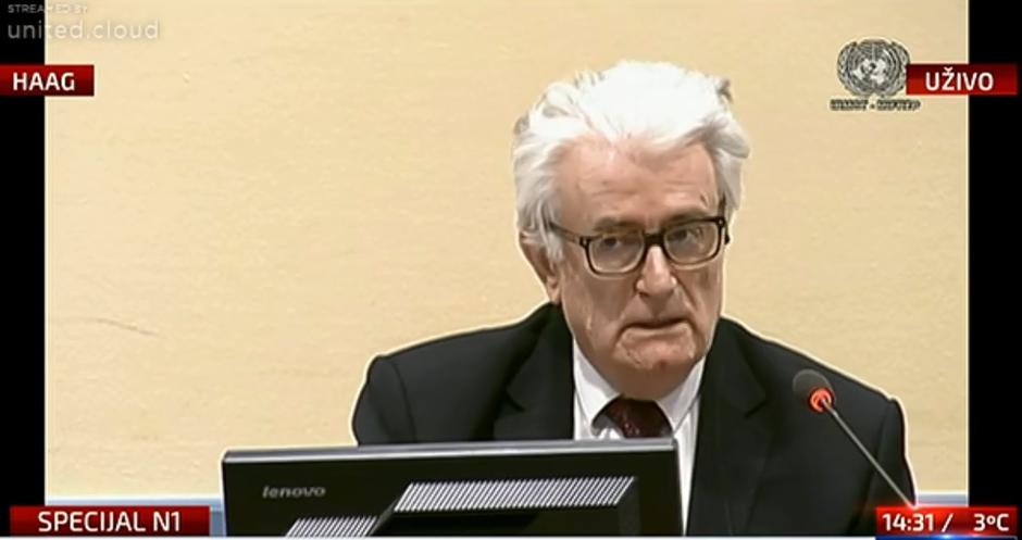 Radovan Karadžić | Author: Screenshot
