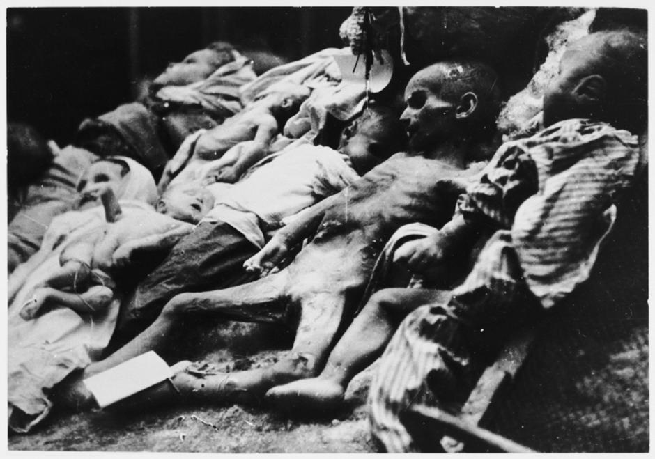 Leševi izgladnjele djece u konc logoru | Author: Memorijalni muzej Jasenovac