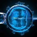 Eksperimentiranje s embrijem
