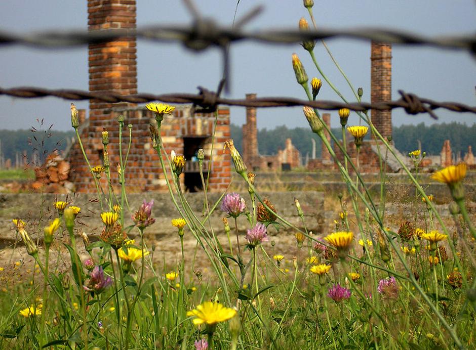 Fotografije iz koncenracijskog logora Auschwutz | Author: Wikimedia Commons