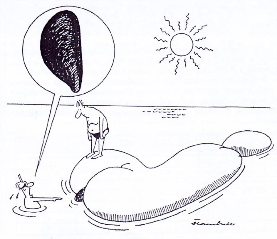Karikature Davora Štambuka