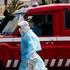 Evacuation operation of suspected hantavirus cases, in Praia