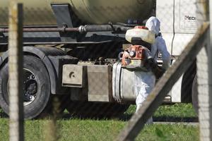 Sokolovac: Kreće eutanazija svinja, uvode se novi sigurnosni protokoli