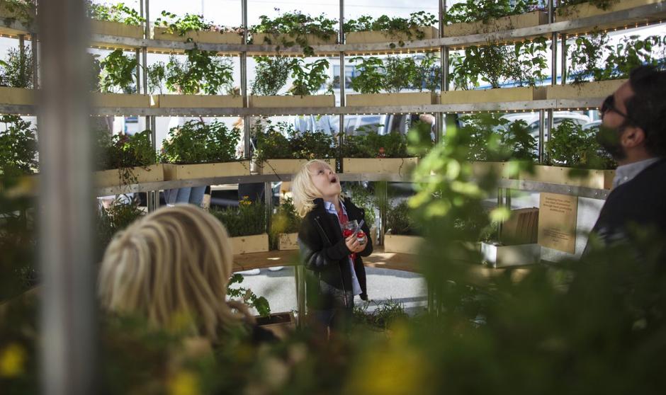 Growroom: Ikeino rješenje za uzgoj hrane | Author: Alona Vibe