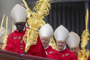 ITALY -  PALM SUNDAY ,ASS IN THE VATICAN  - 2025/4/13