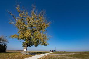 Vukovar: Na blagdan Svih svetih građani posjećuju Ovčaru