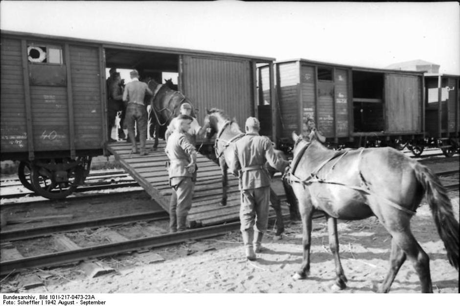 Utovar konja - Njemačka | Author: Bundesarchiv, Bild 101I-217-0473-23A / Scheffler / CC-BY-SA 3.0