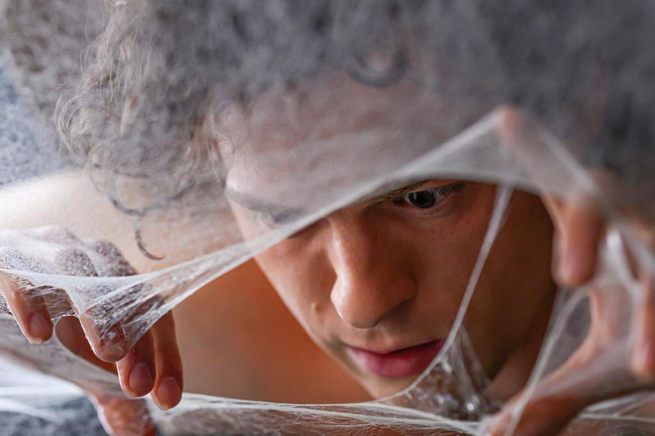 Tom Holland | Author: Supplied by LMK/IPA