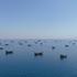FILE PHOTO: Japanese shippers await details on Hormuz reopening, mine clearance