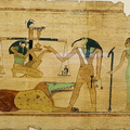 Arheološko istraživanje korištenja svetog ibisa u vjerskom životu drevnog Egipta