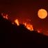 Pun mjesec tijekom požara u Santa Barbari