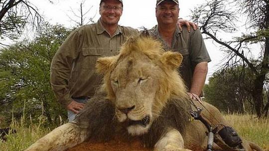 Walter Palmer s lavom Cecilom
