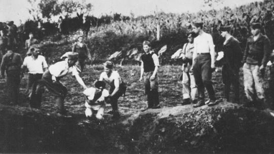 Jasenovac