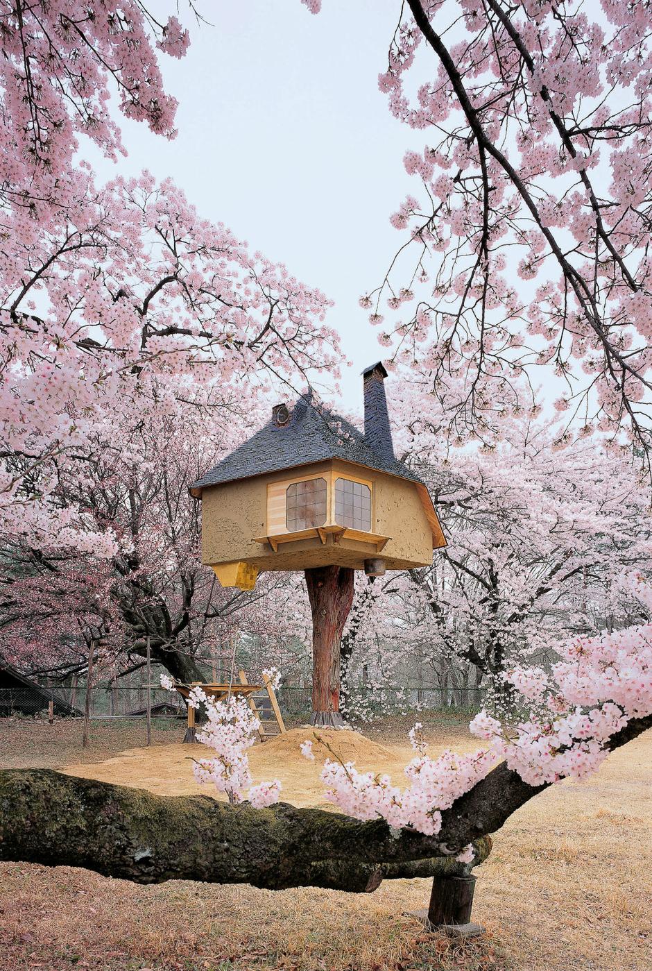 Tradicionalna japanska kuća za čaj | Author: promo