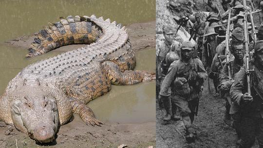Krokodili koji su napadali japanske vojnike