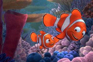 Scena iz crtića Nemo