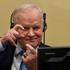 FILE PHOTO: Former Bosnian Serb commander Mladic appeal judgement at UN court in The Hague