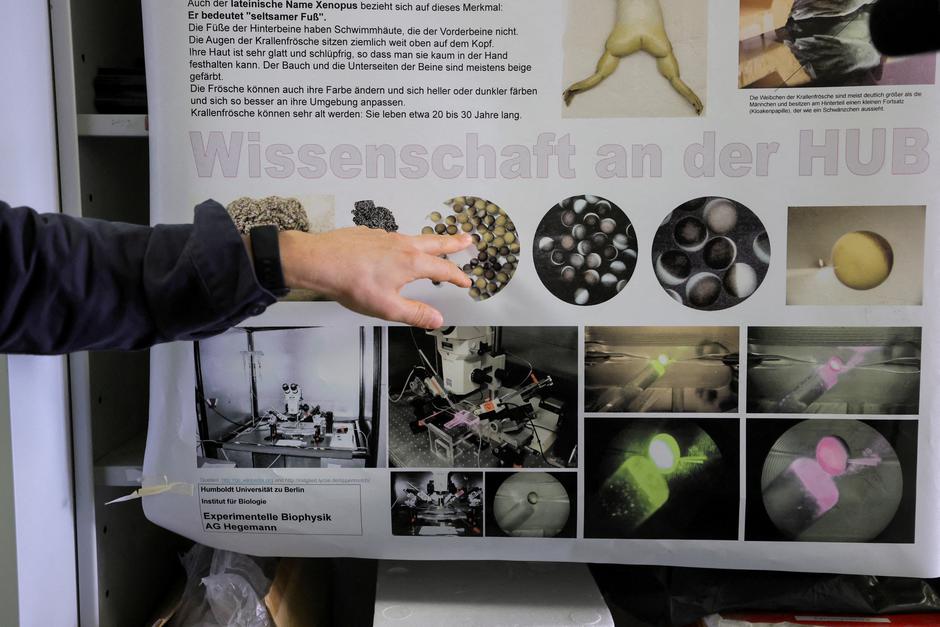 Team members of the Peter Hegemann present research in Hegemann's laboratory after Hegemann, a professor at Humboldt University of Berlin, was awarded the Nobel Prize in medicine, in Berlin | Author: Fabrizio Bensch