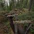 Around NATO’s northern frontier with Russia in Finland