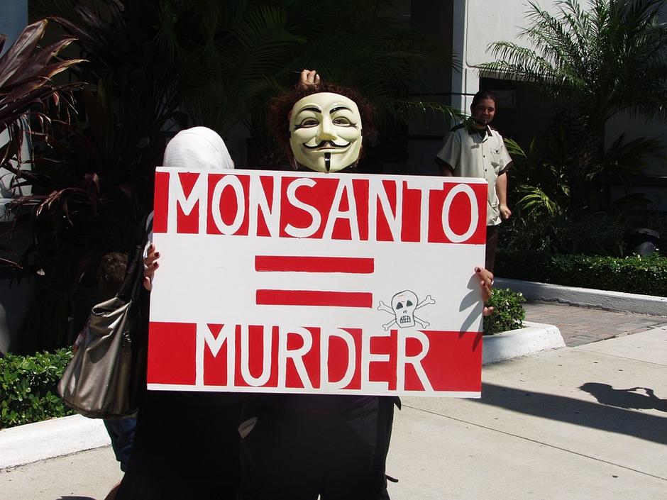 Monsanto, roundup tj. glifosat | Author: maxpixel.freegreatpicture.com