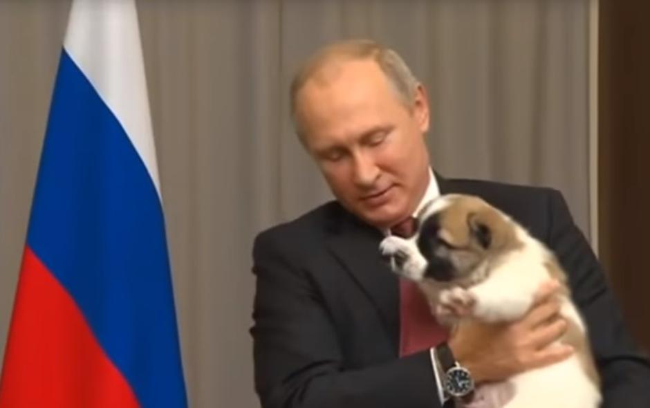 Putin dobio psa za rođendanski poklon | Author: Screenshot