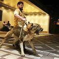Ramzan Kadirov sa psom