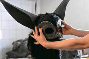 Zagreb: Kostimi za baletnu predstavu Orašar