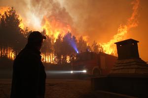 Požari u Dalmaciji