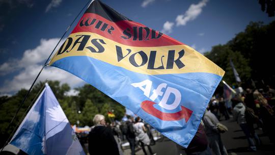 Right-Wing Protest