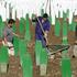 BiH: Srebrenica 20 godina nakon genocida