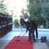 Priprema crvenog tepiha uoči prvog radnog dana predsjednice Grabar-Kitarović