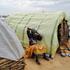 FILE PHOTO: Fleeing Sudanese seek refuge in Chad
