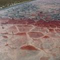 ALXA, CHINA - AUGUST 22: An aerial view shows the heart-shaped Wulan Lake surrounded by salt patterns in the Tengger Des