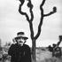 Don Van Vliet, Captain Beefheart, celebrity, musician,