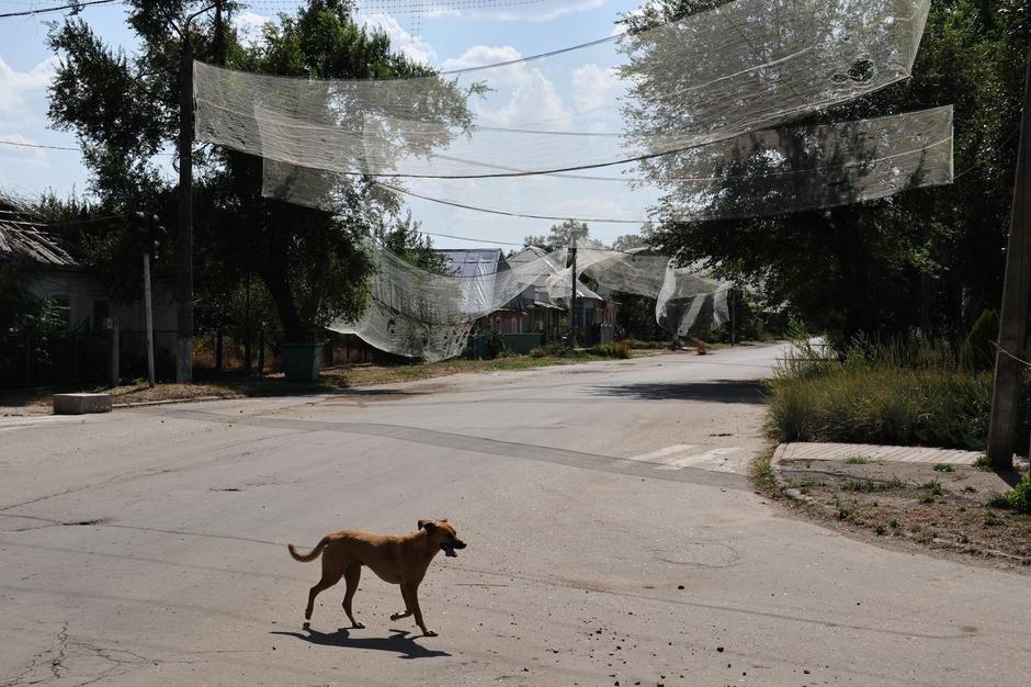 1022185308 | Author: Profimedia