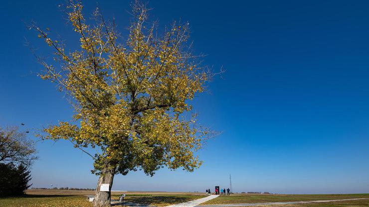 Vukovar: Na blagdan Svih svetih građani posjećuju Ovčaru