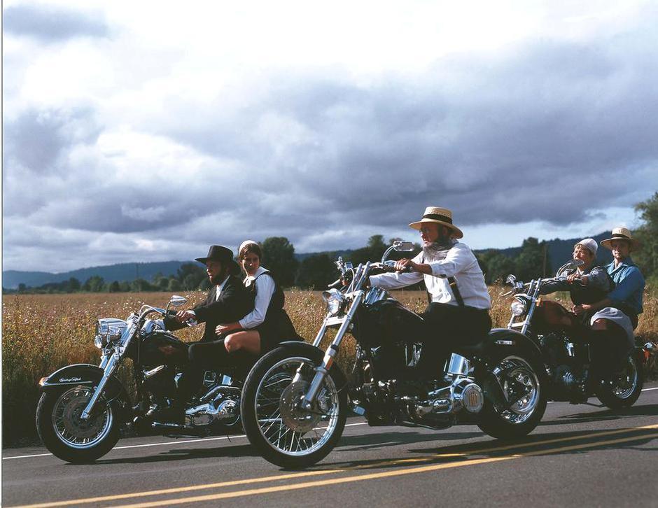  | Author: Mario Lalich