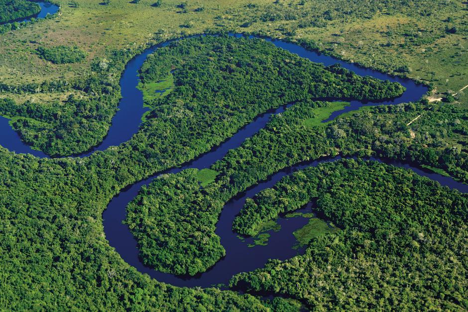 Pantanala u Brazilu | Author: Lou Avers/DPA/PIXSELL