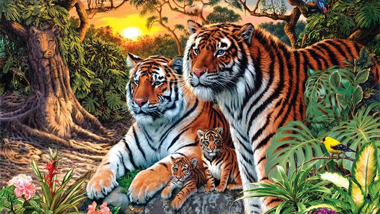 Optička iluzija s tigrovima