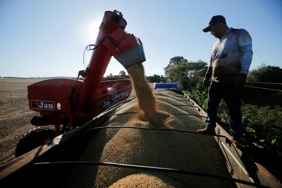 FILE PHOTO: Soybean harvest in Paraguay | Author: Cesar Olmedo