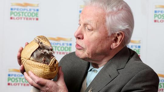 David Attenborough
