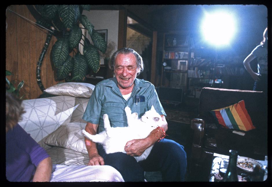 553300018 | Author: Profimedia